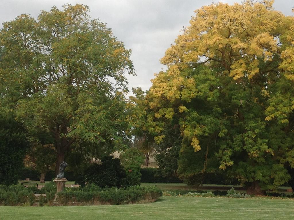 Collingrove Homestead Angaston Exterior photo